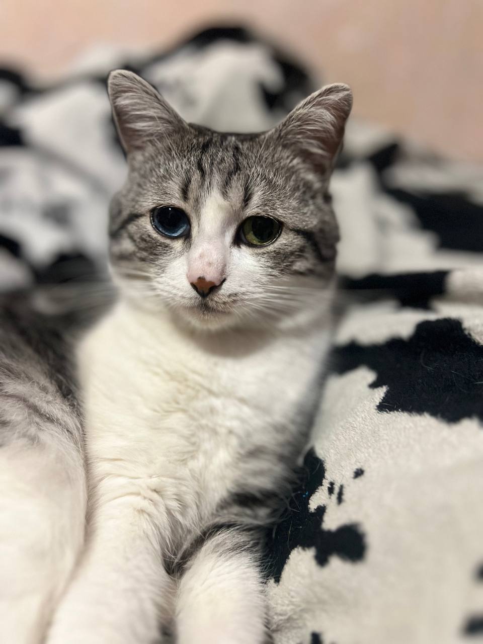 Фото з клініки