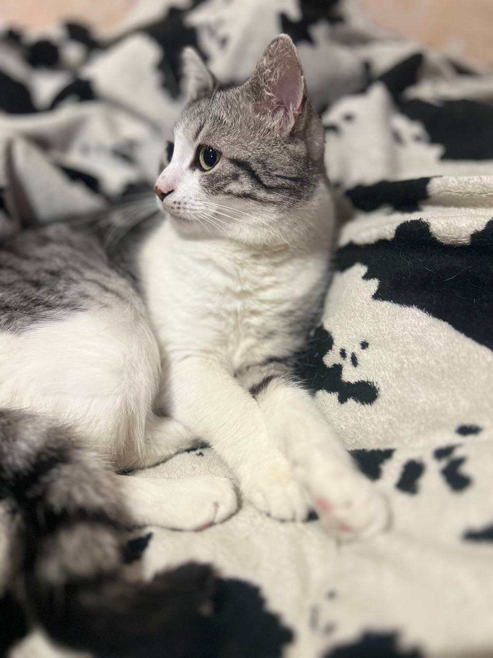 Фото з клініки