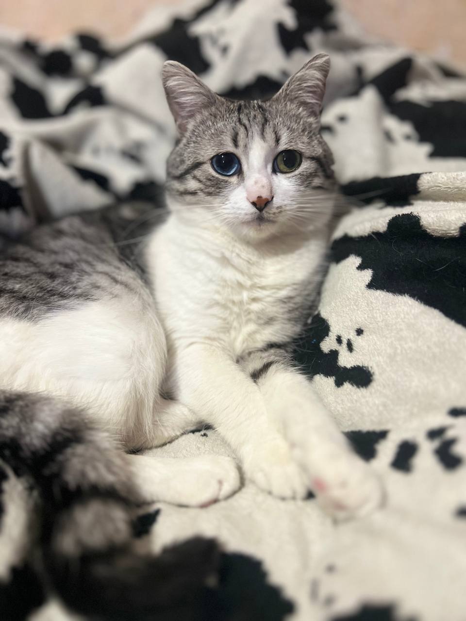 Фото з клініки