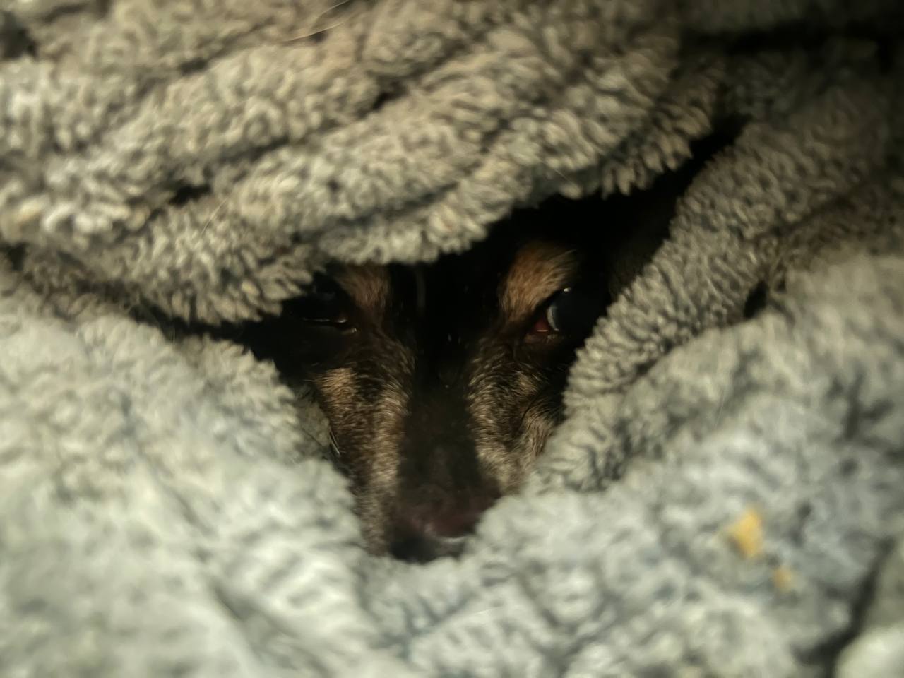 Фото з клініки