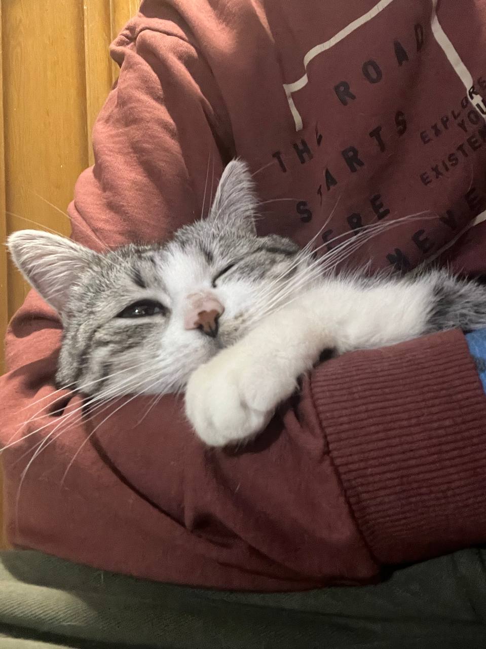 Фото з клініки